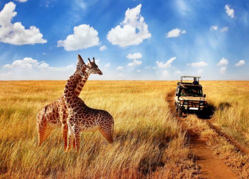 Top 10 places in East Africa