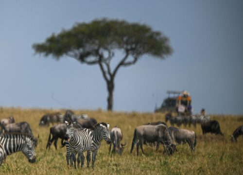 Nairobi: 4-Day Masai Mara & Lake Nakuru Safari - Mid-range